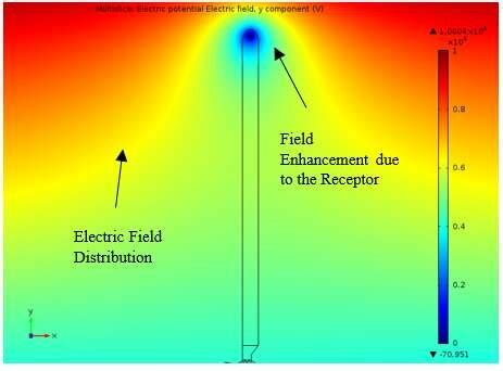 Simulation model showing electric field distribution | Download ...