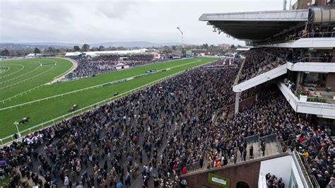 Racing At Cheltenham Hospitality