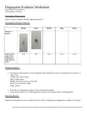 Fingerprints Docx Fingerprint Evidence Worksheet Student Name