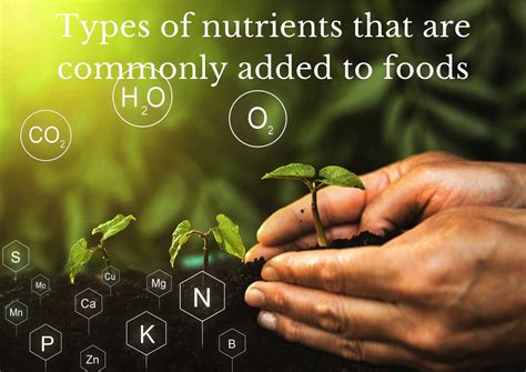 What Is Food Fortification And Why Is It Important Valley Of Foods