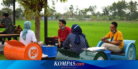 5 Tempat Makan Di Yogyakarta Dengan Pemandangan Sawah Yang Asri