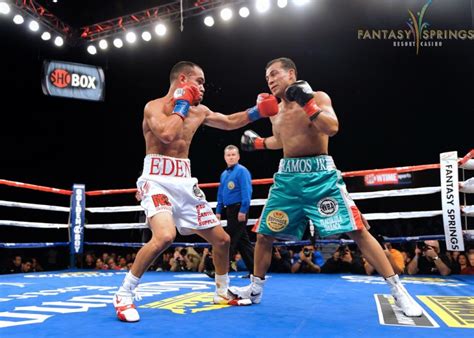 Master Boxing Left Hook Warrior Punch
