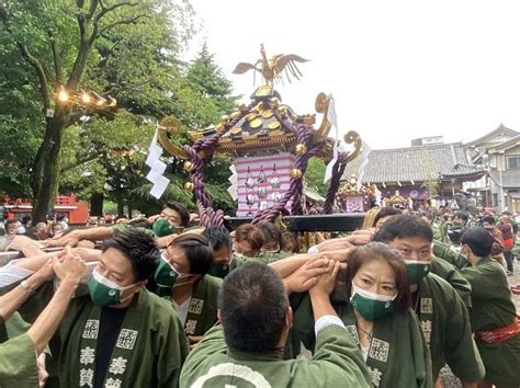 三社祭で3年ぶり 神輿担いで宮出し神事 曳台に載り、浅草を巡行：東京新聞デジタル