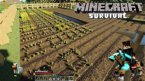 Making A Big Farm👨‍🌾 In Survival🌾 Gaming Minecraft Minecraftsurvival Youtube