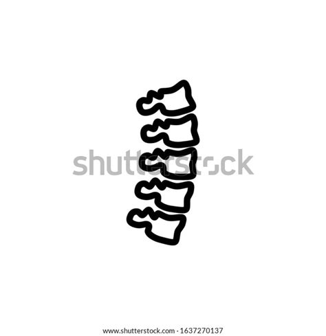 Spinal Column Vector Icon Linear Outline Stock Vector Royalty Free