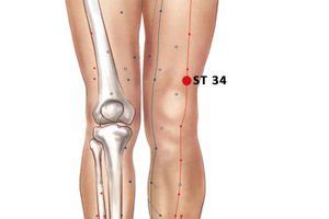 St Acupuncture Point Liangqiu Or Stomach Peakmassager