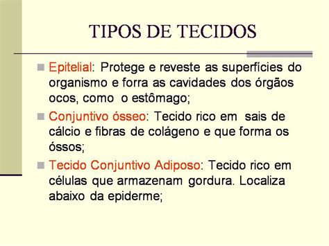 Encantos Da Ci Ncias Power Point C Lulas