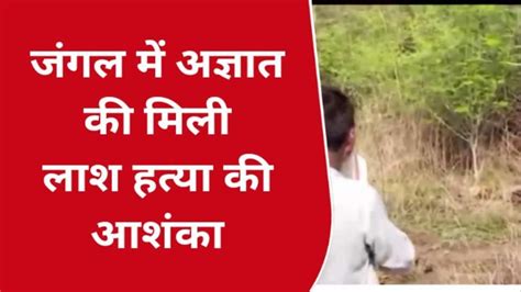 मिर्जापुर के जंगल में मिली अज्ञात अधेड़ की लाश मची सनसनी Video