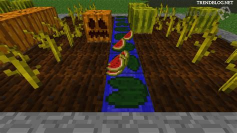 How To Grow Pumpkins In Minecraft How To Regrow Pumpkins Mobiruce