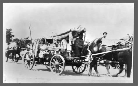 Covered Wagons Kansas Memory