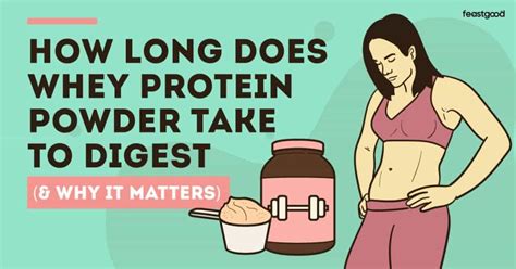 How Long Does Whey Protein Take To Digest Why It Matters