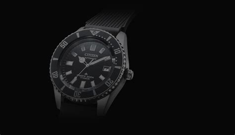 Mechanical Diver M Marine Promaster