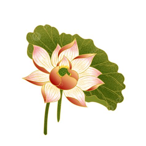 Hand Painted Lotus Png Image Beautiful Hand Painted Lotus Transparent