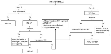 Treatment Algorithm Based On Recent Reports For The Management Of