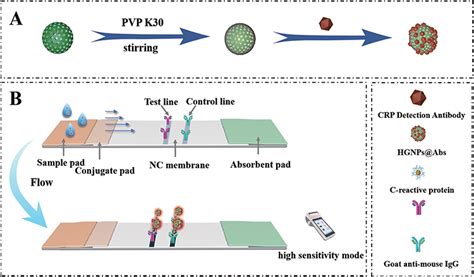 Point Of Care Test For Crp Detection In Clinical Diagnosis Ijn