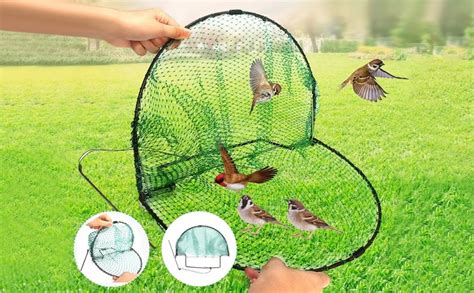 12 Bird Trap Nethumane Live Pigeon Trapsbird Traps For