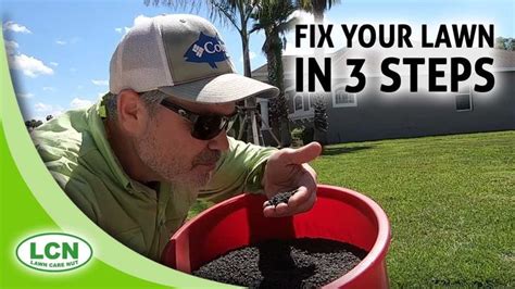 Lawn Care Tips For Beginners Fix Your Lawn In 3 Steps From Allyn Hane