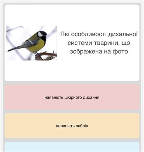 Які особливості дихальної системи тварини, що зображена на фото ...
