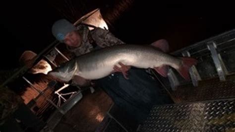 Dnr Biologists May Have Boated A World Record Muskie