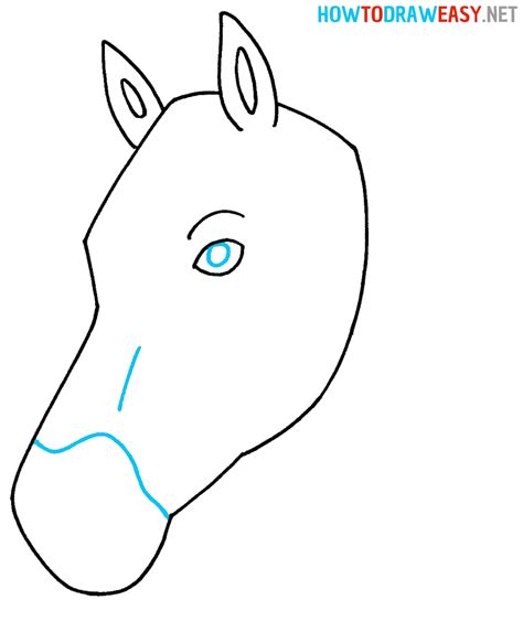 How To Draw A Horse Head Draw For Kids