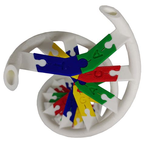 anatomia dupla helice dna humano modelo anatomico biologia  ri happy