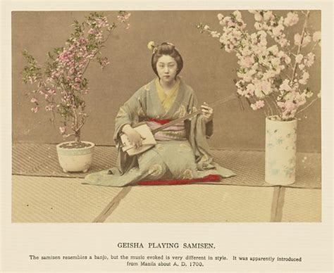 Geisha Playing Samisen free public domain image | Look and Learn