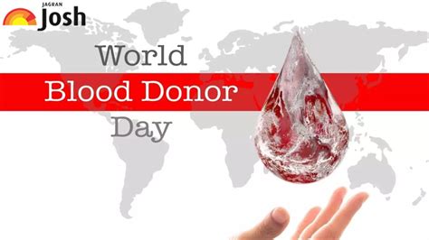 World Blood Donor Day 2022 Why Do You Need Blood Transfusion