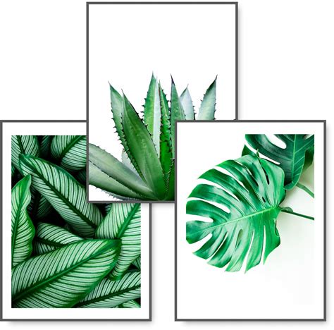 MONSTERA zestaw 3 obrazy 30x40 LIŚCIE plakat 58D Cena Opinie