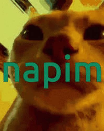 Zort GIF - Zort - Discover & Share GIFs