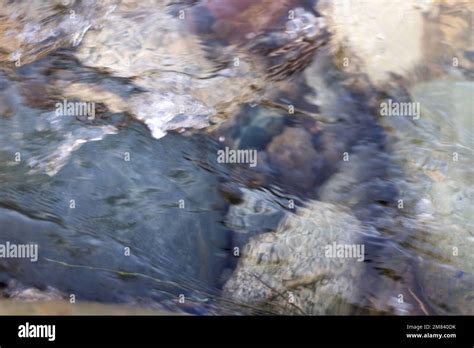 Shallow Water Over Pebbles Hi Res Stock Photography And Images Alamy