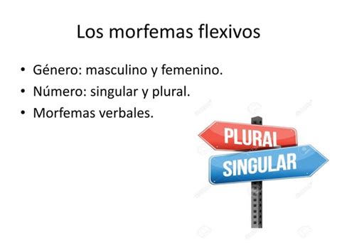 Tema Clases De Palabras Morfolog A Flexiva Y Morfolog A L Xica Ppt