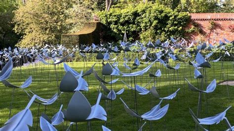 Lincolnshire Charity Feather Tribute To Honour Loved Ones Bbc News