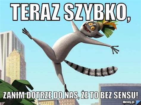 Teraz Szybko Zanim Dotrze Do Nas E To Bez Sensu Memy Pl