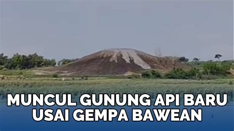 Geger Muncul Gunung Api Baru Di Pertengahan Sawah Warga Usai Gempa