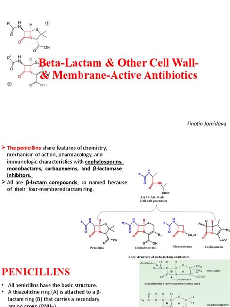 Week 4 Penicillins Cephalosporins Pdf Beta Lactamase Penicillin