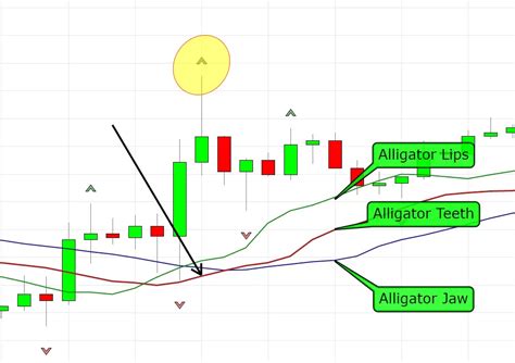 How To Trade Bill Williams Fractals A Fractal Trading Strategy