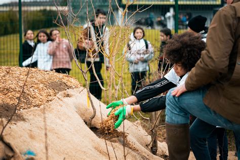 Chantier participatif plantation d arbres Collège Stépha Flickr