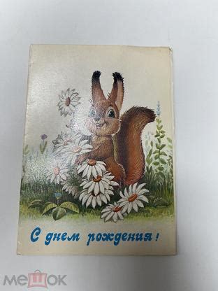 С днем рождения Зарубин белочка с ромашками 1986 год