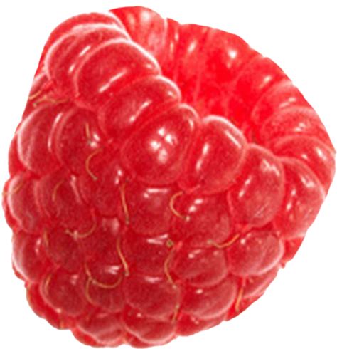 Download Fresh Raspberry Closeuppng