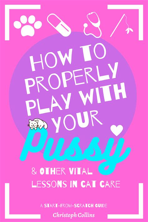 How To Properly Play With Your Pussy Other Vital Lessons In Cat Care By Christoph Collins