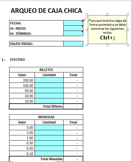 Arqueo De Caja Chica En Excel | Hot Sex Picture