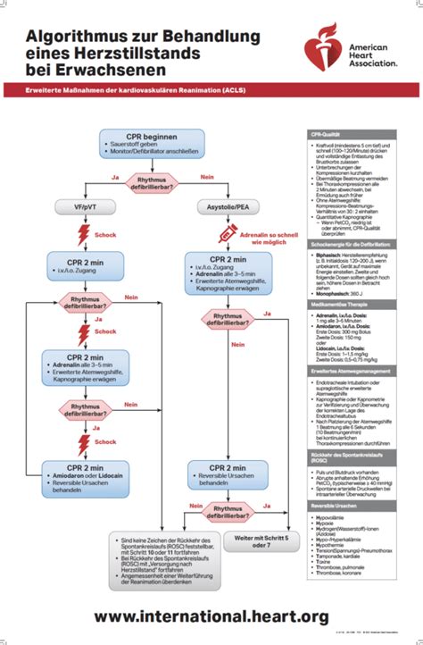 Acls Poster Set Aha Guidelines 2020 Shop Skillqube