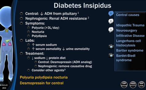 Chapter Endocrine System Flashcards Quizlet