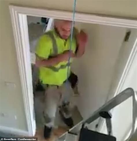 Spider prank fools workman as he comes out of toilet | Daily Mail Online