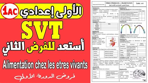 L alimentation exercices 1 année collège svt أستعد للفرض الثاني