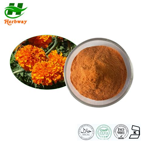 Herbway Kosher Halal Fssc Haccp Certified Marigold Flower Extract Lutein Powder Marigold P E