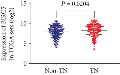 Mrna Expression Of Hub Genes A The Mrna Expression Of 9 Hub Genes Download Scientific