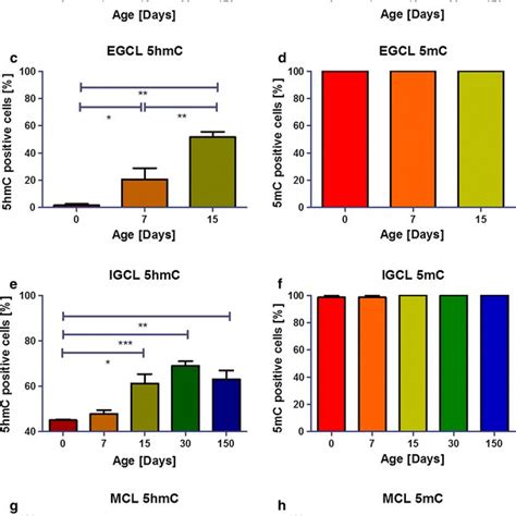 Quantification Of Hmc And Mc Positive Cells In The Frontal Cortex