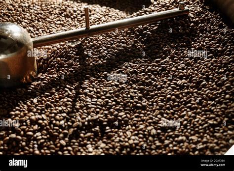 Coffee Processing Roasting Hi Res Stock Photography And Images Alamy