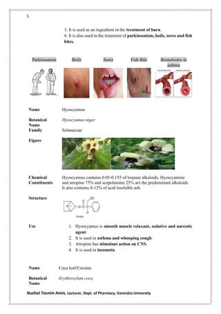 Alkaloids (full) | PDF